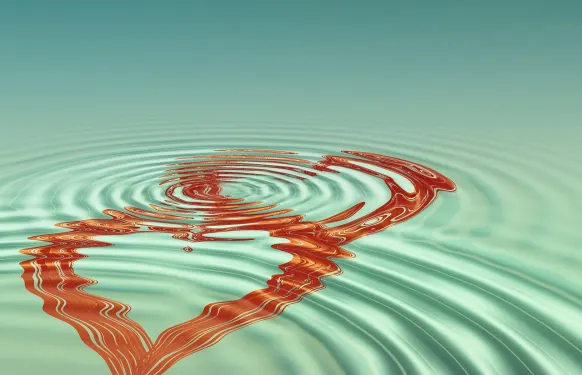 Casino Barbados Bingo Supporto